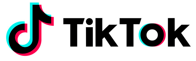 TikTok Ads